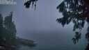 ./images/koeye/fitz-hugh/20260822/fitz-hugh20260822_060501M.jpg
