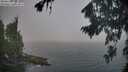 ./images/koeye/fitz-hugh/20260822/fitz-hugh20260822_072501M.jpg