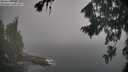 ./images/koeye/fitz-hugh/20260822/fitz-hugh20260822_080001M.jpg