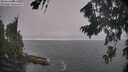 ./images/koeye/fitz-hugh/20260822/fitz-hugh20260822_084001M.jpg