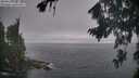 ./images/koeye/fitz-hugh/20260822/fitz-hugh20260822_091502M.jpg