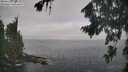 ./images/koeye/fitz-hugh/20260822/fitz-hugh20260822_100501M.jpg