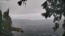 ./images/koeye/fitz-hugh/20260822/fitz-hugh20260822_102501M.jpg