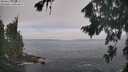./images/koeye/fitz-hugh/20260822/fitz-hugh20260822_103001M.jpg