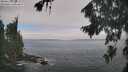 ./images/koeye/fitz-hugh/20260822/fitz-hugh20260822_103501M.jpg