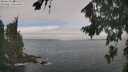 ./images/koeye/fitz-hugh/20260822/fitz-hugh20260822_105001M.jpg
