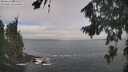./images/koeye/fitz-hugh/20260822/fitz-hugh20260822_105501M.jpg