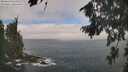 ./images/koeye/fitz-hugh/20260822/fitz-hugh20260822_110501M.jpg
