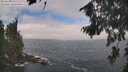 ./images/koeye/fitz-hugh/20260822/fitz-hugh20260822_111501M.jpg