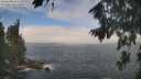 ./images/koeye/fitz-hugh/20260822/fitz-hugh20260822_112002M.jpg