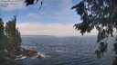 ./images/koeye/fitz-hugh/20260822/fitz-hugh20260822_113001M.jpg