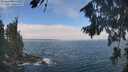 ./images/koeye/fitz-hugh/20260822/fitz-hugh20260822_113501M.jpg