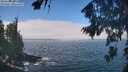 ./images/koeye/fitz-hugh/20260822/fitz-hugh20260822_115001M.jpg