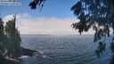 ./images/koeye/fitz-hugh/20260822/fitz-hugh20260822_115501M.jpg