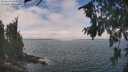 ./images/koeye/fitz-hugh/20260822/fitz-hugh20260822_121501M.jpg