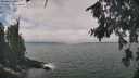 ./images/koeye/fitz-hugh/20260822/fitz-hugh20260822_122502M.jpg