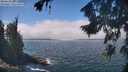 ./images/koeye/fitz-hugh/20260822/fitz-hugh20260822_124501M.jpg