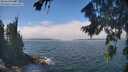 ./images/koeye/fitz-hugh/20260822/fitz-hugh20260822_130002M.jpg