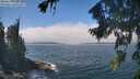./images/koeye/fitz-hugh/20260822/fitz-hugh20260822_131001M.jpg