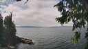 ./images/koeye/fitz-hugh/20260822/fitz-hugh20260822_133001M.jpg
