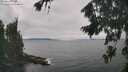 ./images/koeye/fitz-hugh/20260822/fitz-hugh20260822_135002M.jpg