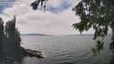 ./images/koeye/fitz-hugh/20260822/fitz-hugh20260822_141501M.jpg