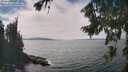 ./images/koeye/fitz-hugh/20260822/fitz-hugh20260822_142001M.jpg