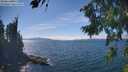 ./images/koeye/fitz-hugh/20260822/fitz-hugh20260822_145001M.jpg