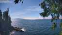 ./images/koeye/fitz-hugh/20260822/fitz-hugh20260822_145501M.jpg