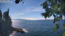 ./images/koeye/fitz-hugh/20260822/fitz-hugh20260822_150001M.jpg
