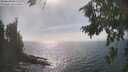 ./images/koeye/fitz-hugh/20260822/fitz-hugh20260822_162002M.jpg
