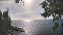 ./images/koeye/fitz-hugh/20260822/fitz-hugh20260822_164001M.jpg