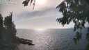 ./images/koeye/fitz-hugh/20260822/fitz-hugh20260822_164501M.jpg