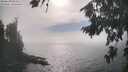 ./images/koeye/fitz-hugh/20260822/fitz-hugh20260822_165001M.jpg