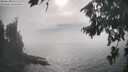 ./images/koeye/fitz-hugh/20260822/fitz-hugh20260822_165501M.jpg