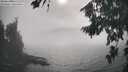 ./images/koeye/fitz-hugh/20260822/fitz-hugh20260822_170002M.jpg
