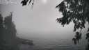 ./images/koeye/fitz-hugh/20260822/fitz-hugh20260822_171001M.jpg