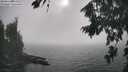 ./images/koeye/fitz-hugh/20260822/fitz-hugh20260822_171501M.jpg