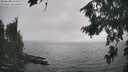 ./images/koeye/fitz-hugh/20260822/fitz-hugh20260822_172501M.jpg