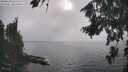 ./images/koeye/fitz-hugh/20260822/fitz-hugh20260822_173002M.jpg