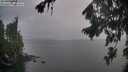./images/koeye/fitz-hugh/20260822/fitz-hugh20260822_202501M.jpg