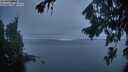./images/koeye/fitz-hugh/20260822/fitz-hugh20260822_210001M.jpg