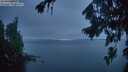./images/koeye/fitz-hugh/20260822/fitz-hugh20260822_210501M.jpg