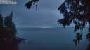 ./images/koeye/fitz-hugh/20260822/fitz-hugh20260822_211001M.jpg