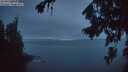 ./images/koeye/fitz-hugh/20260822/fitz-hugh20260822_211501M.jpg