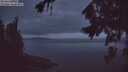 ./images/koeye/fitz-hugh/20260823/fitz-hugh20260823_055001M.jpg