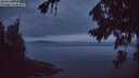 ./images/koeye/fitz-hugh/20260823/fitz-hugh20260823_055502M.jpg
