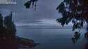 ./images/koeye/fitz-hugh/20260823/fitz-hugh20260823_060501M.jpg