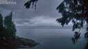 ./images/koeye/fitz-hugh/20260823/fitz-hugh20260823_061001M.jpg
