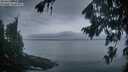 ./images/koeye/fitz-hugh/20260823/fitz-hugh20260823_062002M.jpg